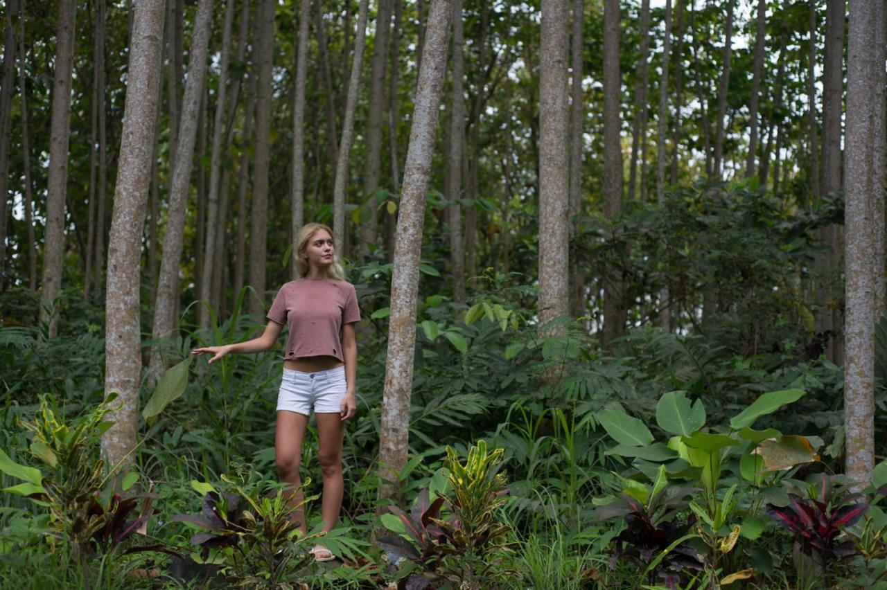 Yoga Amertham Retreat & Resort Sukawati エクステリア 写真